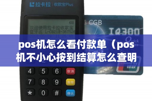 pos机怎么看付款单（pos机不小心按到结算怎么查明细）