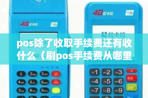 pos除了收取手续费还有收什么（刷pos手续费从哪里扣）