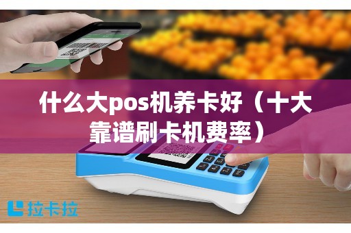 什么大pos机养卡好（十大靠谱刷卡机费率）
