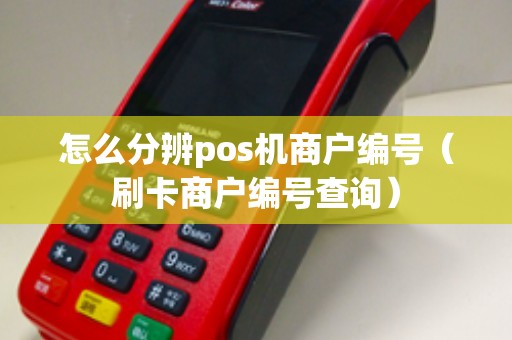 怎么分辨pos机商户编号（刷卡商户编号查询）