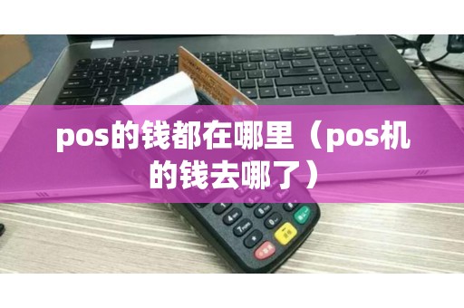 pos的钱都在哪里（pos机的钱去哪了）