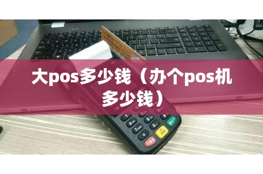 大pos多少钱（办个pos机多少钱）