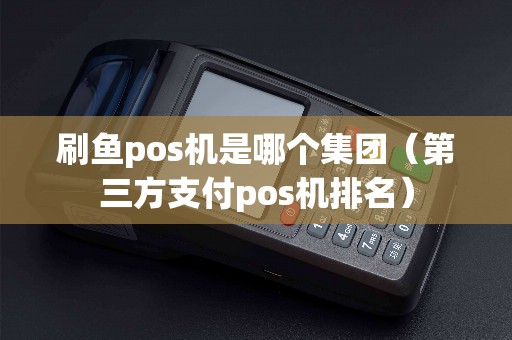刷鱼pos机是哪个集团（第三方支付pos机排名）