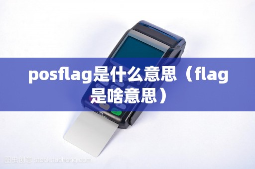 posflag是什么意思（flag是啥意思）