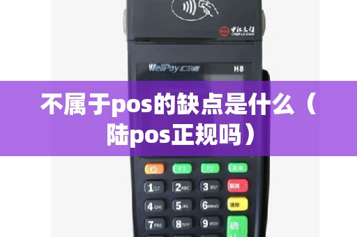 不属于pos的缺点是什么（陆pos正规吗）