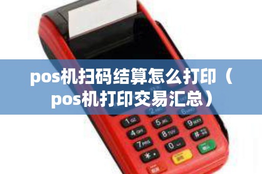 pos机扫码结算怎么打印（pos机打印交易汇总）