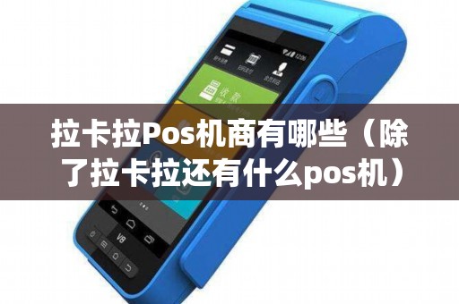 拉卡拉Pos机商有哪些（除了拉卡拉还有什么pos机）