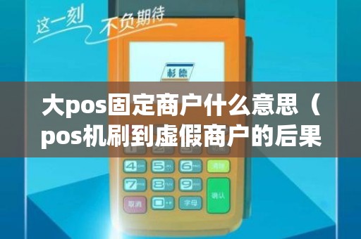 大pos固定商户什么意思（pos机刷到虚假商户的后果）