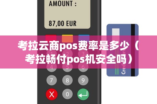 考拉云商pos费率是多少（考拉畅付pos机安全吗）