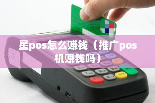星pos怎么赚钱（推广pos机赚钱吗）