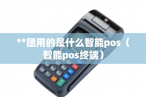 **团用的是什么智能pos（智能pos终端）