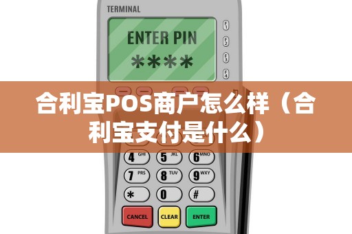 合利宝POS商户怎么样（合利宝支付是什么）