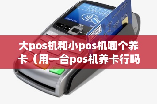 大pos机和小pos机哪个养卡（用一台pos机养卡行吗）