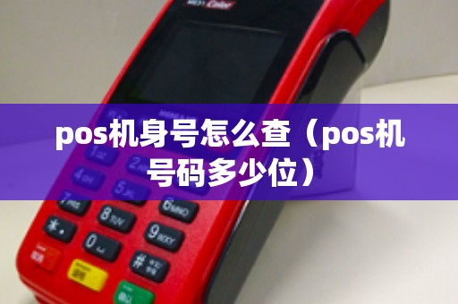 pos机身号怎么查（pos机号码多少位）