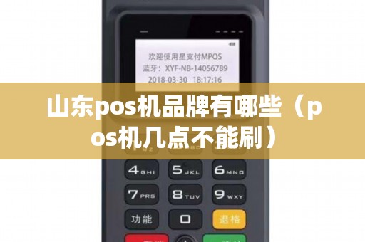 山东pos机品牌有哪些（pos机几点不能刷）