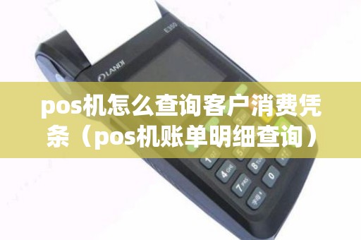 pos机怎么查询客户消费凭条（pos机账单明细查询）