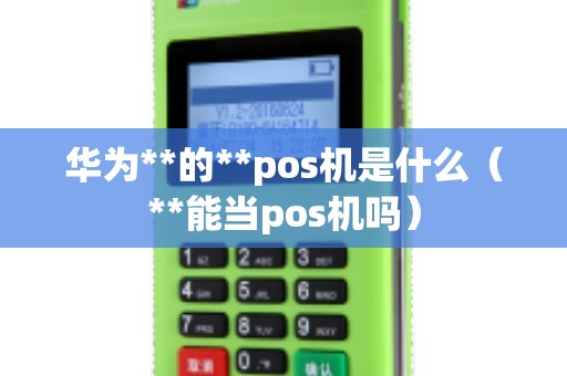 华为**的**pos机是什么（**能当pos机吗）