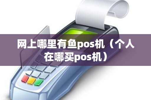 网上哪里有鱼pos机（个人在哪买pos机）