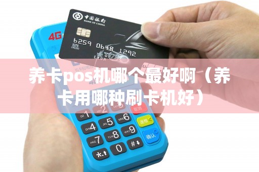 养卡pos机哪个最好啊（养卡用哪种刷卡机好）