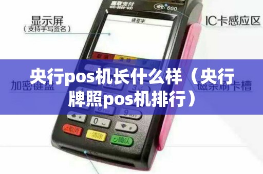 央行pos机长什么样(央行牌照pos机排行) 央行pos机长什么样(央行牌照pos机排行)