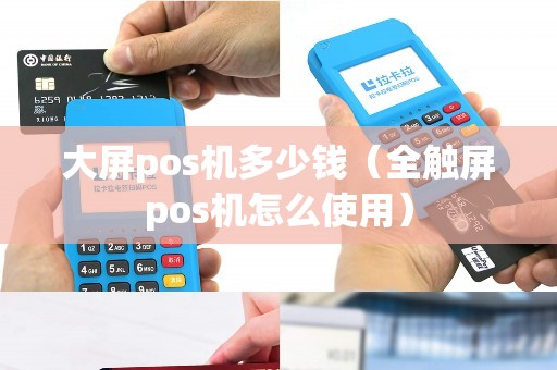 大屏pos机多少钱（全触屏pos机怎么使用）