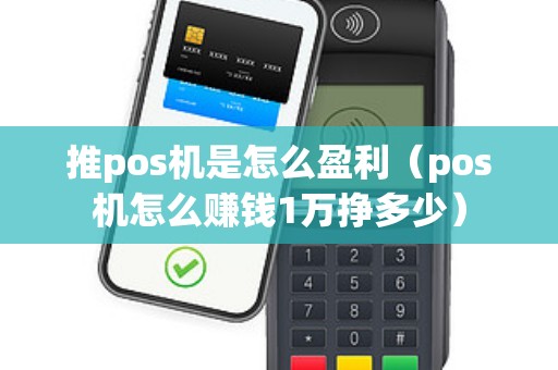 推pos机是怎么盈利（pos机怎么赚钱1万挣多少）