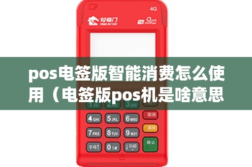 pos电签版智能消费怎么使用（电签版pos机是啥意思）