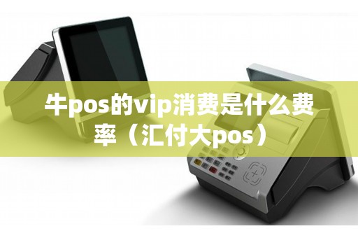 牛pos的vip消费是什么费率（汇付大pos）
