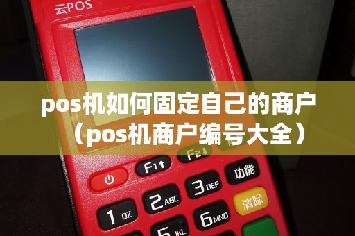 pos机如何固定自己的商户（pos机商户编号大全）