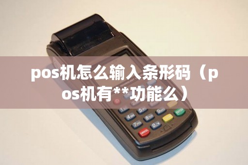 pos机怎么输入条形码（pos机有**功能么）