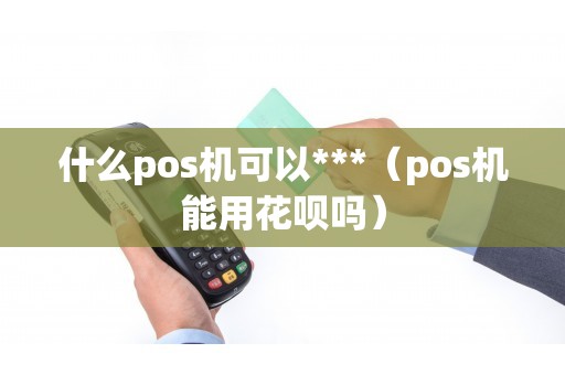 什么pos机可以***（pos机能用花呗吗）