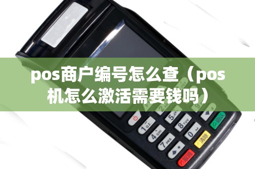pos商户编号怎么查（pos机怎么激活需要钱吗）