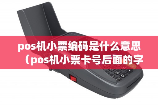 pos机小票编码是什么意思（pos机小票卡号后面的字母）