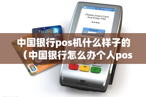 中国银行pos机什么样子的（中国银行怎么办个人pos机）