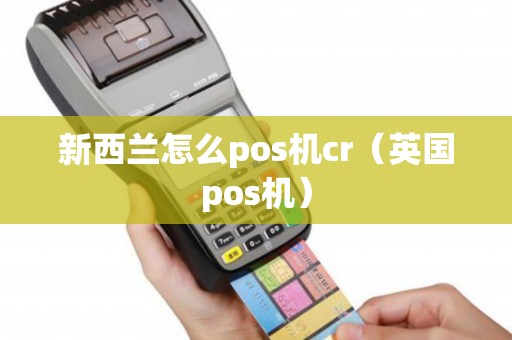 新西兰怎么pos机cr（英国pos机）