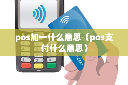 pos加一什么意思（pos支付什么意思）