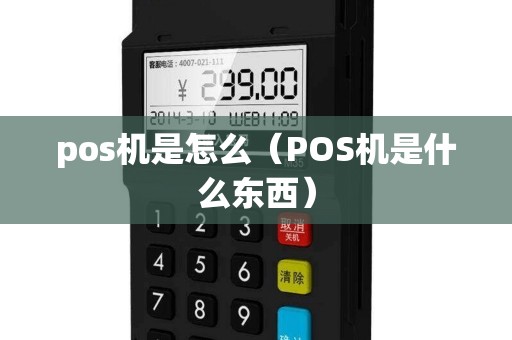 pos机是怎么（POS机是什么东西）