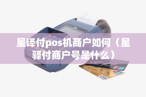星译付pos机商户如何（星驿付商户号是什么）