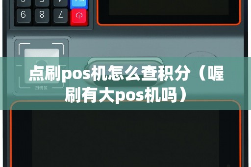 点刷pos机怎么查积分（喔刷有大pos机吗）