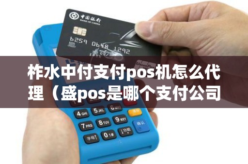 柞水中付支付pos机怎么代理（盛pos是哪个支付公司的）