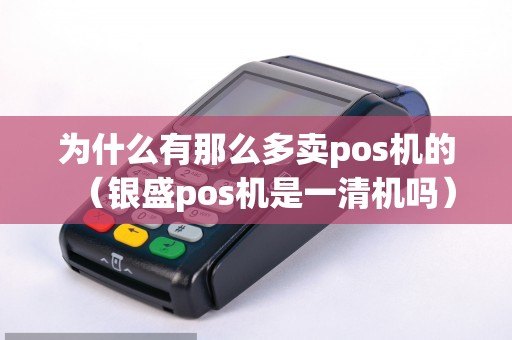 为什么有那么多卖pos机的（银盛pos机是一清机吗）
