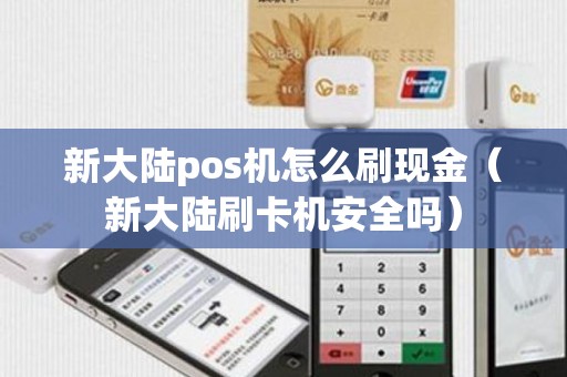 新大陆pos机怎么刷现金（新大陆刷卡机安全吗）
