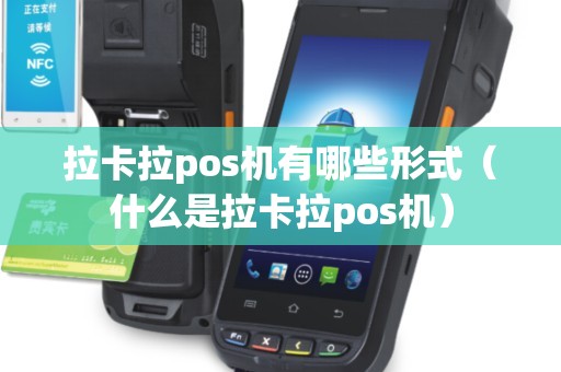 拉卡拉pos机有哪些形式（什么是拉卡拉pos机）