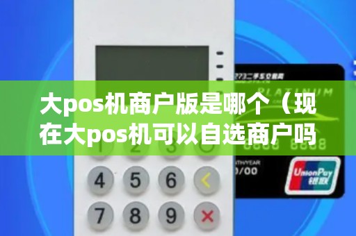 大pos机商户版是哪个（现在大pos机可以自选商户吗）