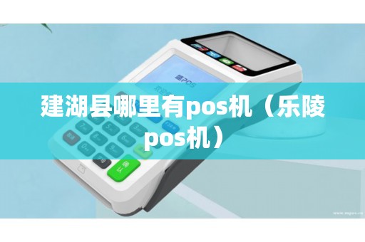 建湖县哪里有pos机（乐陵pos机）