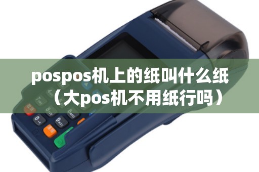 pospos机上的纸叫什么纸（大pos机不用纸行吗）
