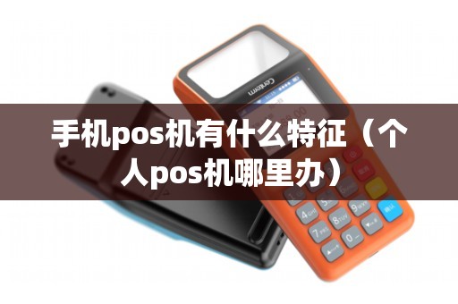 手机pos机有什么特征（个人pos机哪里办）