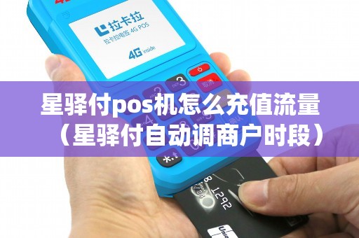 星驿付pos机怎么充值流量(星驿付自动调商户时段) 星驿付pos机怎么充值流量(星驿付自动调商户时段)