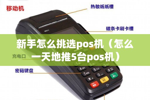 新手怎么挑选pos机(怎么一天地推5台pos机) 新手怎么挑选pos机(怎么一天地推5台pos机)