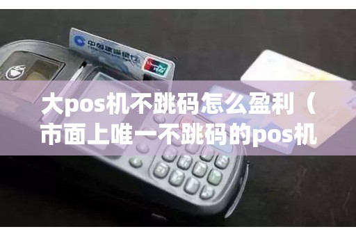 大pos机不跳码怎么盈利（市面上唯一不跳码的pos机）